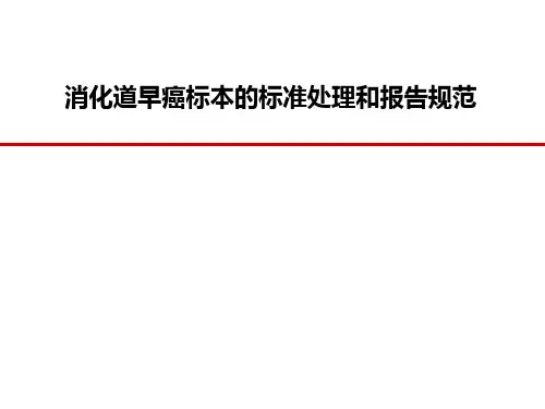 消化道早癌标本的标准处理和报告规范