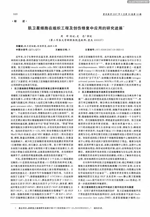 肌卫星细胞在组织工程及创伤修复中应用的研究进展