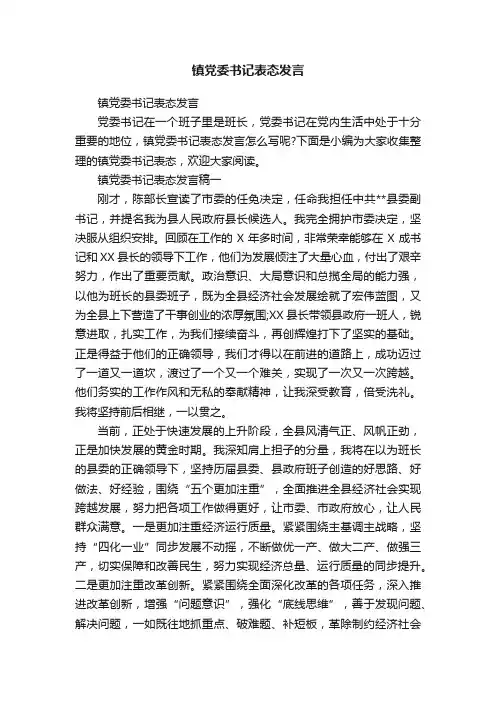 镇党委书记表态发言