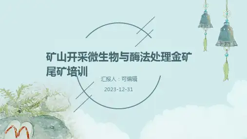 矿山开采微生物与酶法处理金矿尾矿培训
