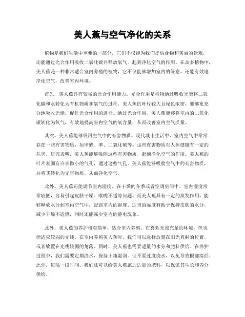 美人蕉与空气净化的关系
