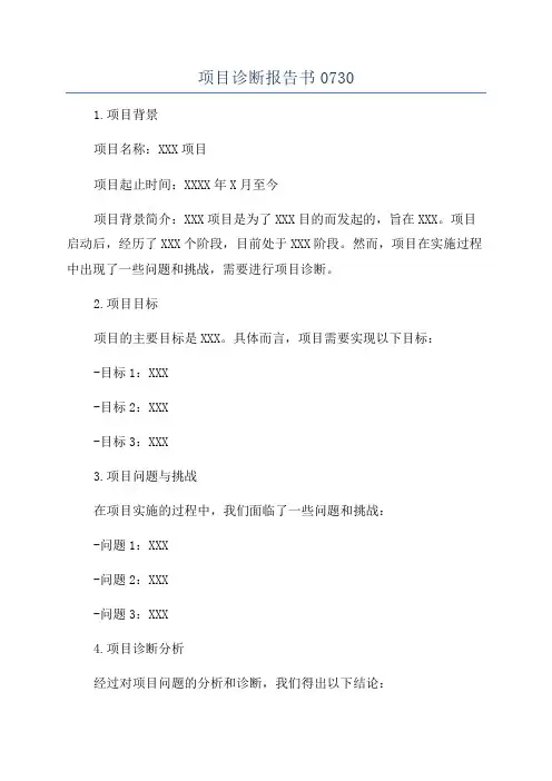项目诊断报告书0730