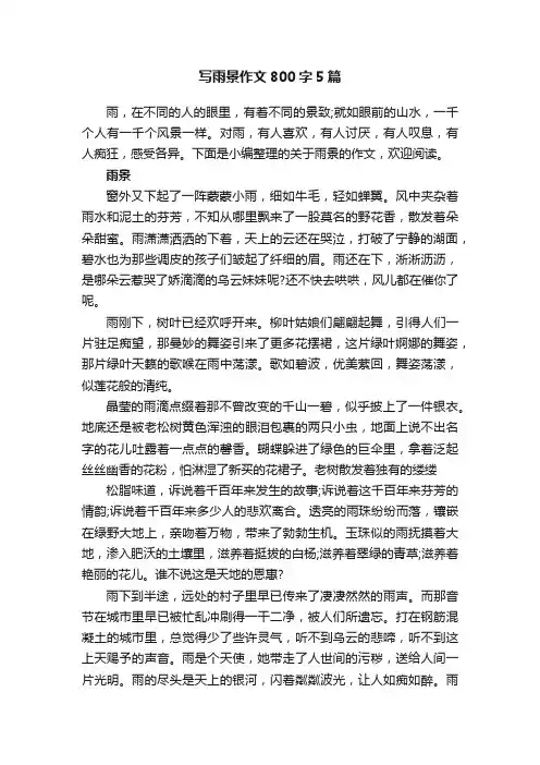 写雨景作文800字5篇