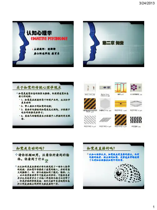 认知心理学2