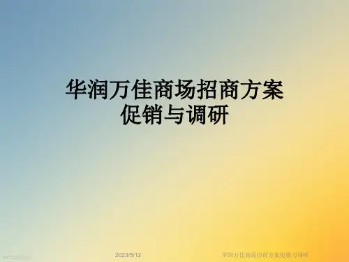 华润万佳商场招商方案促销与调研
