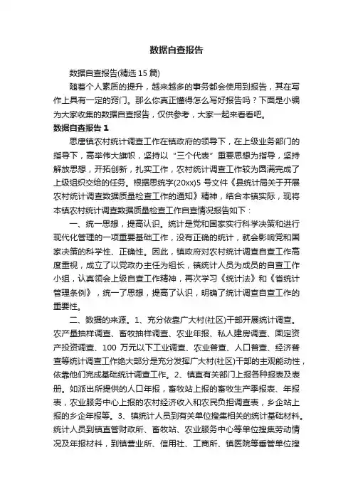 数据自查报告