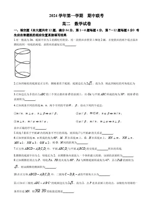 上海市2024-2025学年高二上学期期中联考数学试题 (无答案)