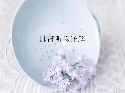 肺部听诊详解