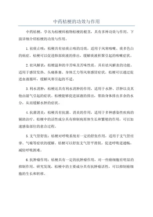 中药桔梗的功效与作用