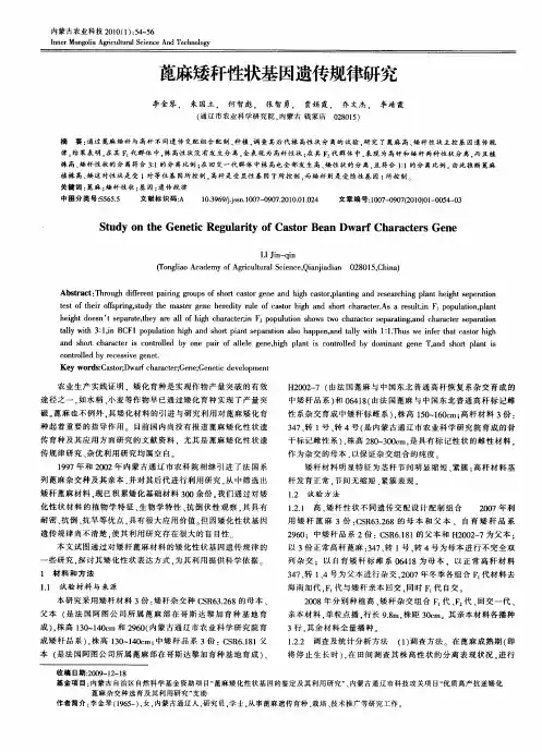 蓖麻矮秆性状基因遗传规律研究