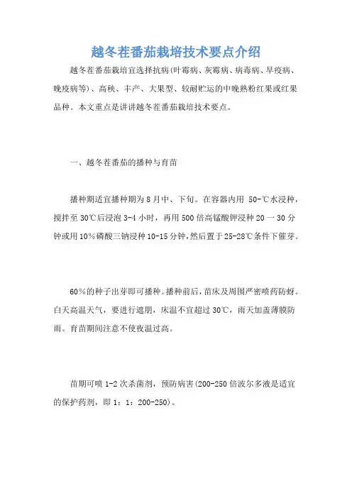 越冬茬番茄栽培技术要点介绍
