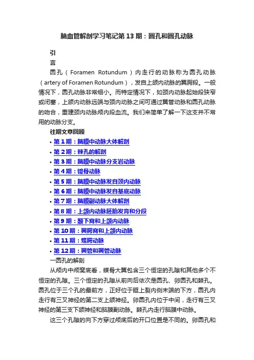 脑血管解剖学习笔记第13期：圆孔和圆孔动脉