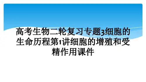 高考生物二轮复习专题3细胞的生命历程第1讲细胞的增殖和受精作用课件
