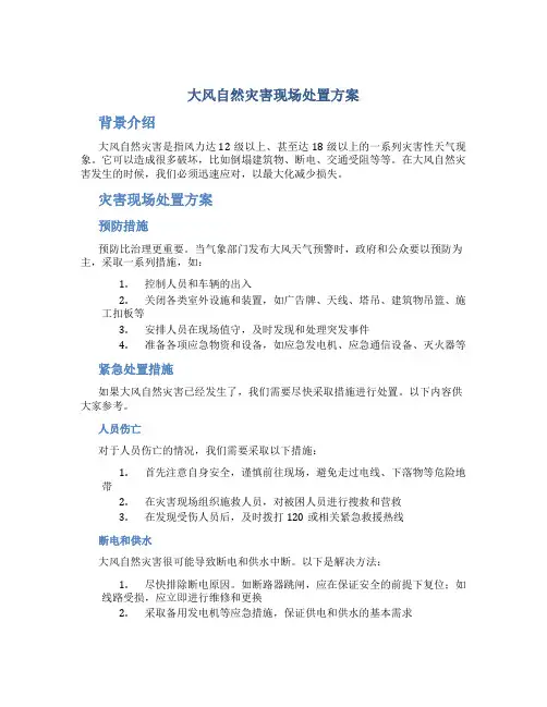 大风自然灾害现场处置方案