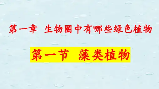 《第一节 藻类植物》课件