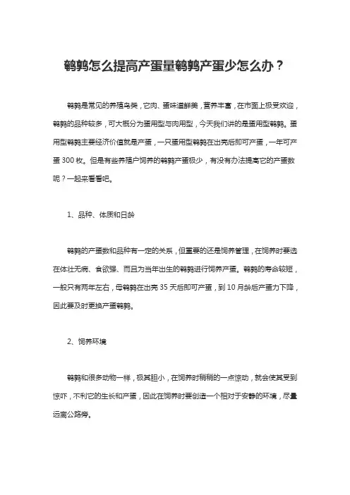 鹌鹑怎么提高产蛋量鹌鹑产蛋少怎么办