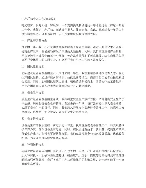 生产厂长个人工作总结范文