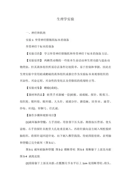 生理学实验——精选推荐
