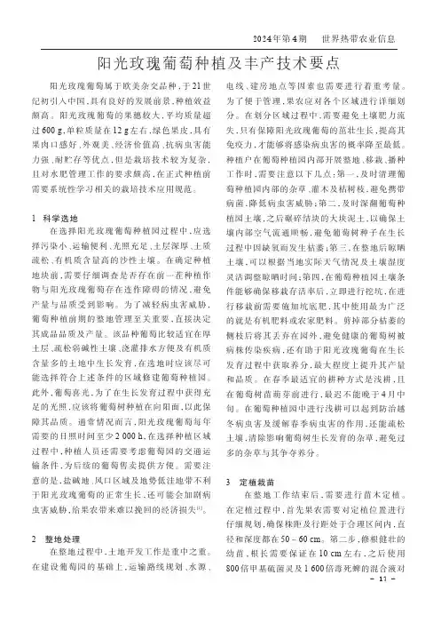 阳光玫瑰葡萄种植及丰产技术要点