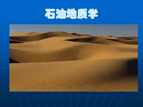 石油地质学