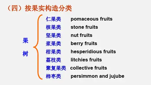 知识点3 果实构造分类资料讲解