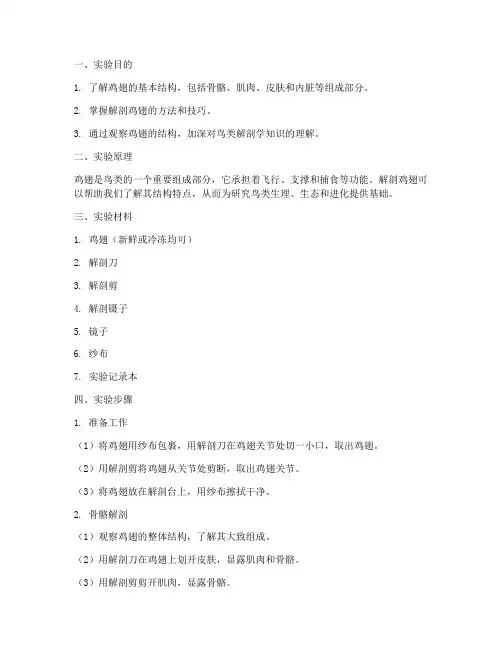 鸡翅结构实验报告