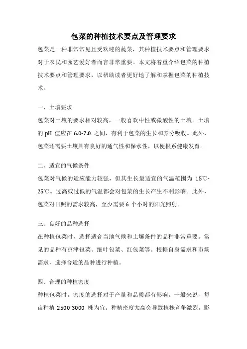 包菜的种植技术要点及管理要求