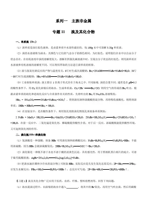 专题1-11：主族非金属-溴及其化合物(解析版)