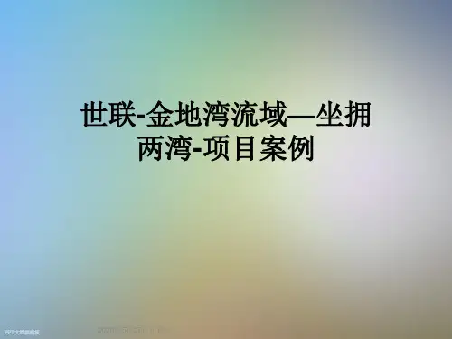 世联-金地湾流域—坐拥两湾-项目案例