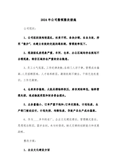 2024年公司整顿整改措施（三篇）