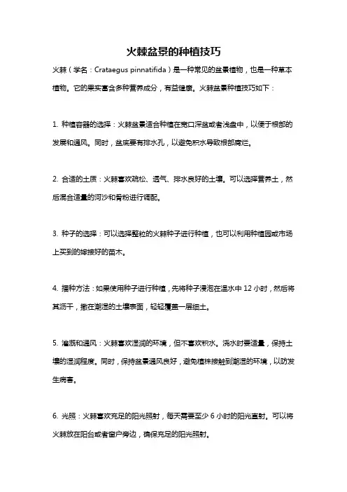 火棘盆景的种植技巧