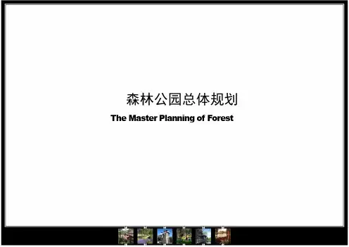 森林公园总体规划设计方案