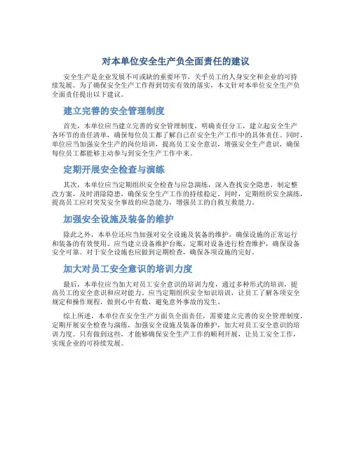 对本单位安全生产负全面责任的建议