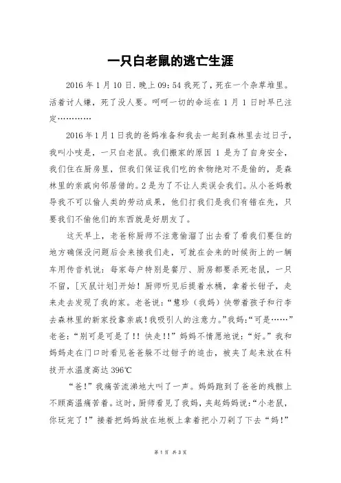 一只白老鼠的逃亡生涯_高三作文