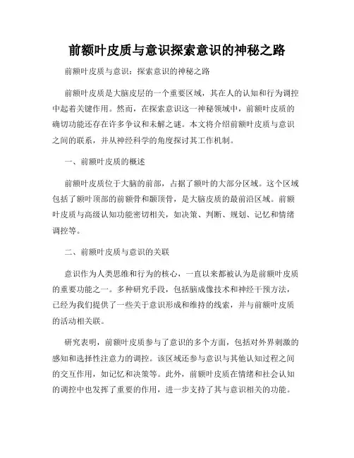 前额叶皮质与意识探索意识的神秘之路