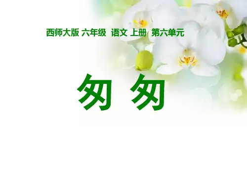 《匆匆》  优秀PPT课件