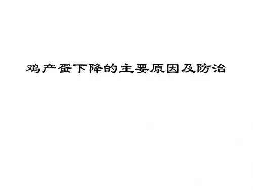 鸡产蛋下降的原因及防治