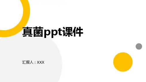 真菌ppt课件