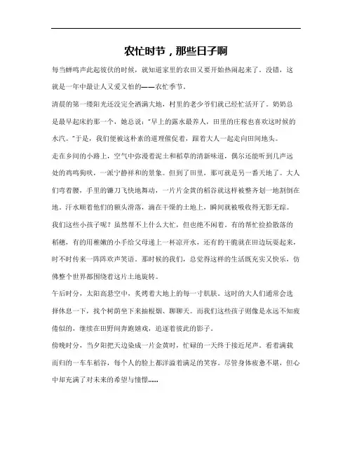 农忙作文800字