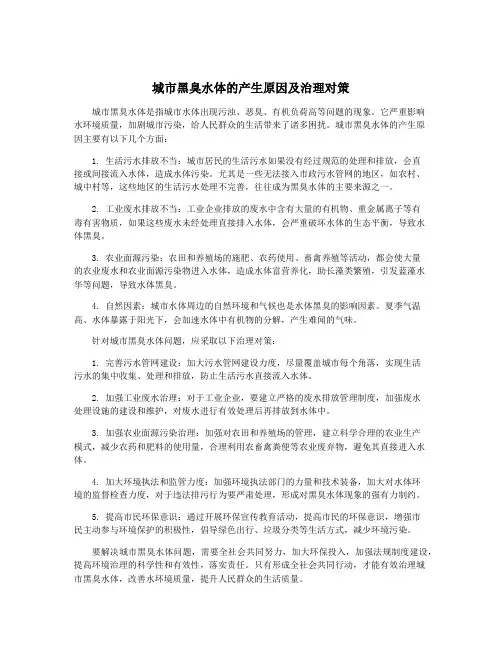 城市黑臭水体的产生原因及治理对策