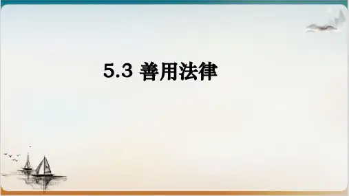 《善用法律》部编版道德与法治ppt实用课件