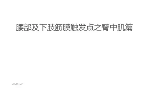 腰部及下肢筋膜触发点之臀中肌篇
