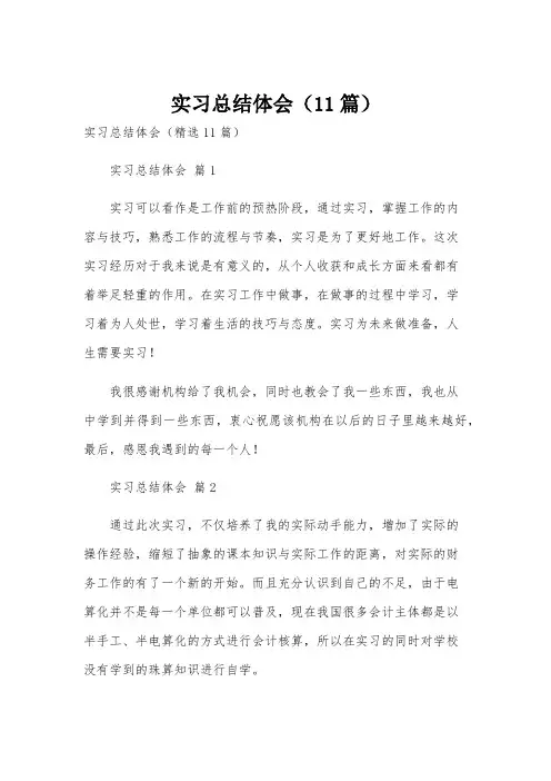 实习总结体会(11篇)