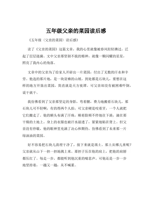 五年级父亲的菜园读后感
