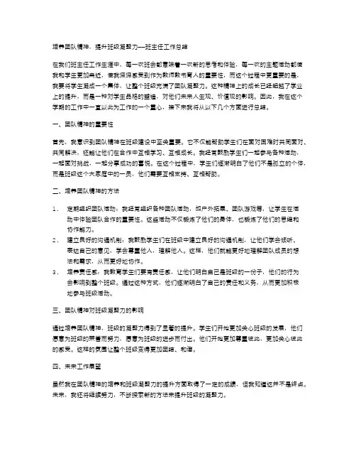 培养团队精神,提升班级凝聚力——班主任工作总结