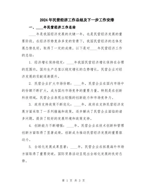 2024年民营经济工作总结及下一步工作安排