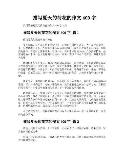 描写夏天的荷花的作文400字