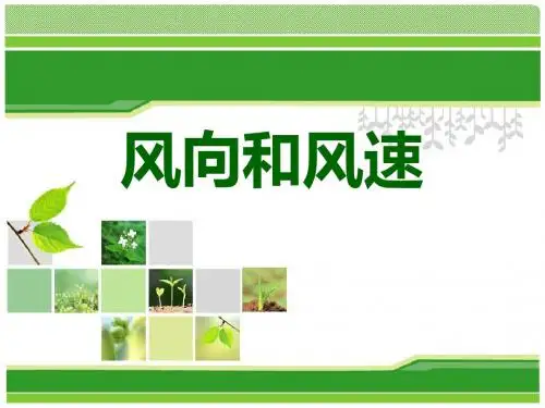 教科版科学四上《风向和风速》课件
