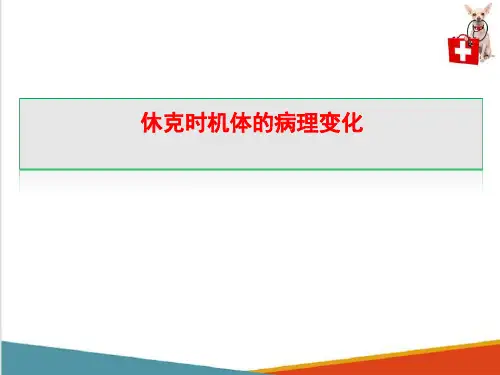 动物休克—休克时机体的病理变化(动物病理学课件)