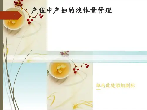 产程中产妇的液体量管理 ppt课件